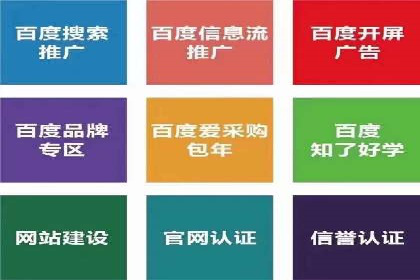 某某企业SEM营销案例：从SEM到全渠道营销的转型之路